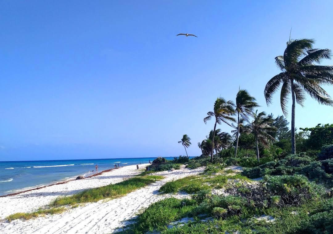Plage de Punta Esmeralda
